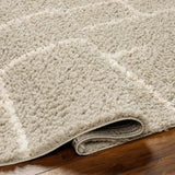 Surya Maryland Shag Msg-2307 Dark Brown, Off-White Rug.