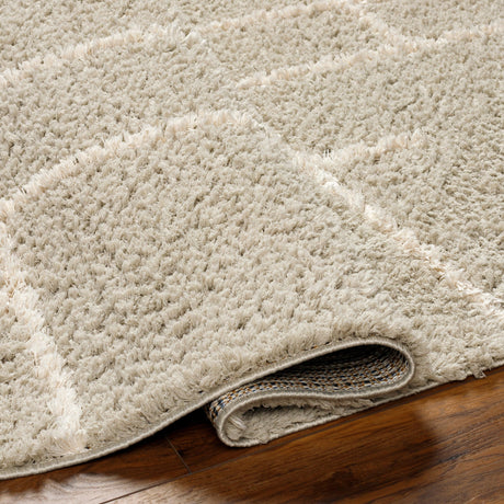 Surya Maryland Shag Msg-2307 Dark Brown, Off-White Rug.