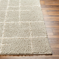 Surya Maryland Shag Msg-2307 Dark Brown, Off-White Area Rug