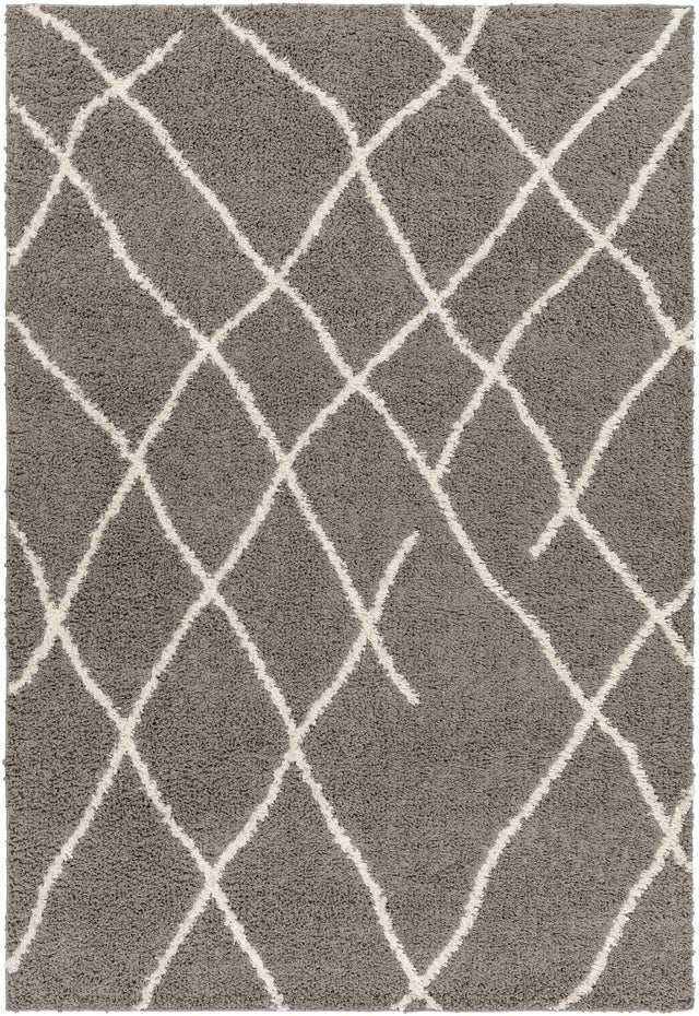 Surya Maryland Shag Msg-2308 Off-White, Dark Brown Rug.