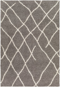 Surya Maryland Shag Msg-2308 Off-White, Dark Brown Area Rug