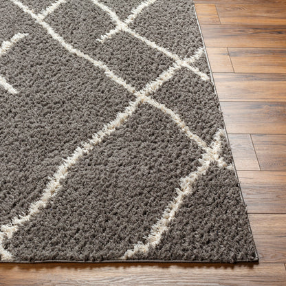 Surya Maryland Shag Msg-2308 Off-White, Dark Brown Area Rug