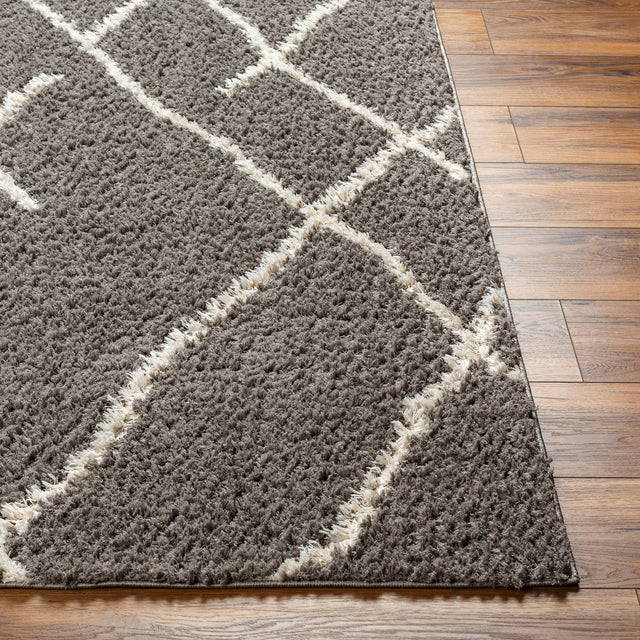 Surya Maryland Shag Msg-2308 Off-White, Dark Brown Rug.