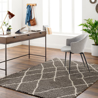 Surya Maryland Shag Msg-2308 Off-White, Dark Brown Area Rug