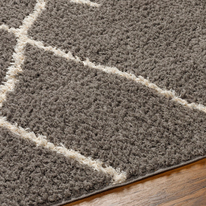 Surya Maryland Shag Msg-2308 Off-White, Dark Brown Area Rug