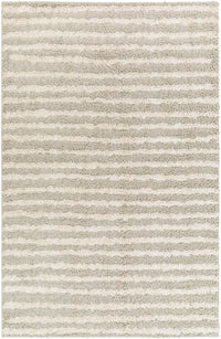 Surya Maryland Shag Msg-2309 Medium Gray, Off-White Area Rug