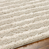 Surya Maryland Shag Msg-2309 Medium Gray, Off-White Area Rug