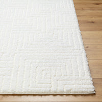 Surya Nomadic Nmc-2314 Ivory Area Rug