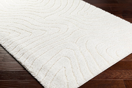 Surya Nomadic Nmc-2315 Ivory Rug.