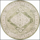 Nourison Astra Machine Washable Asw11 Ivory Green Rug - Nourison - 99446964113