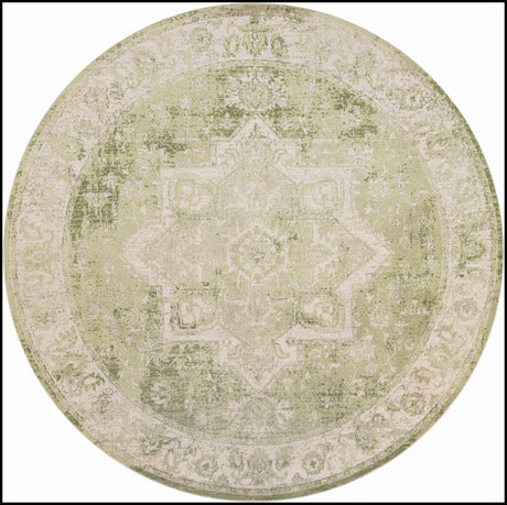 Nourison Astra Machine Washable Asw12 Ivory Green Rug - Nourison - 99446964571