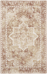 Nourison Astra Machine Washable ASW12 Machine Made Rust Rug
