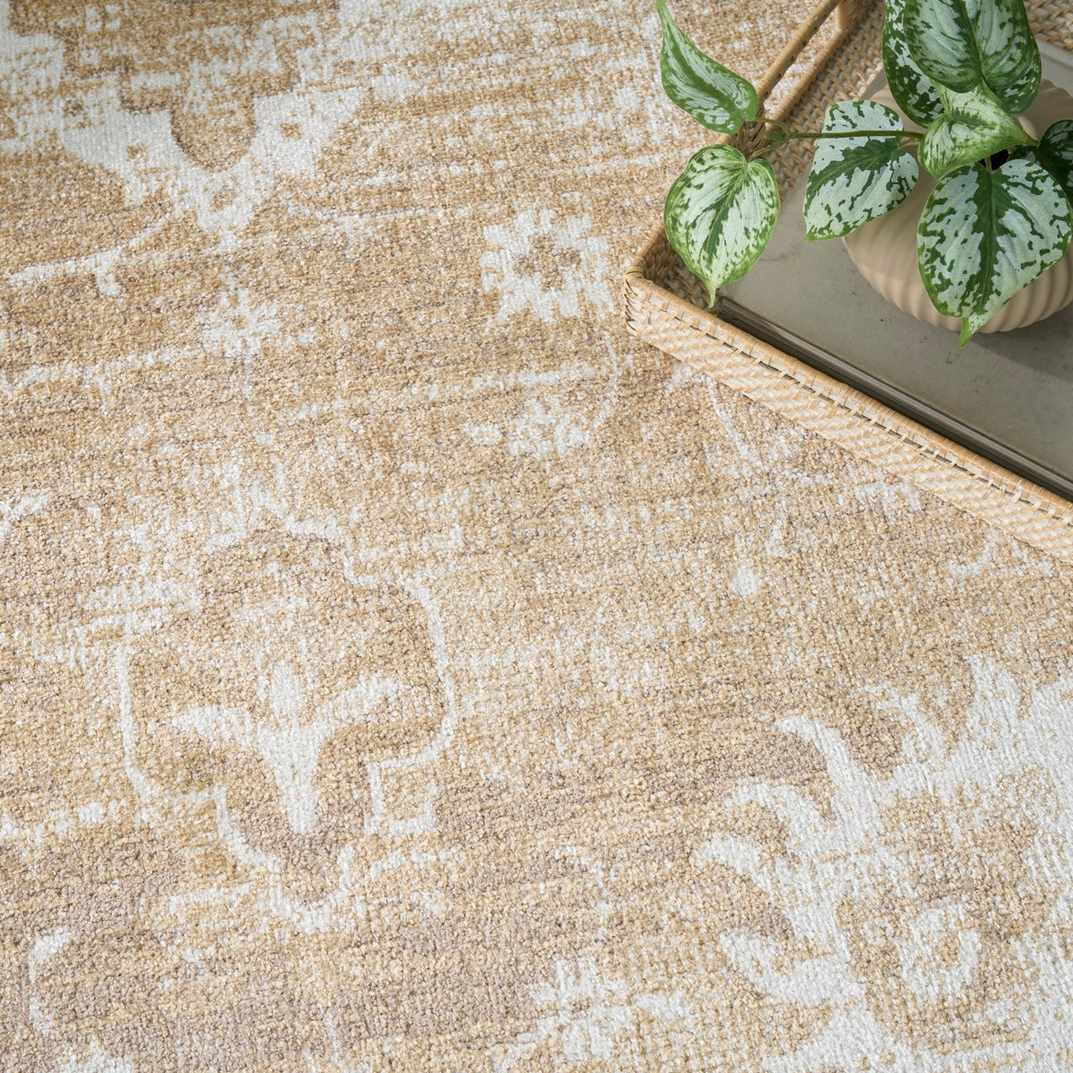Nourison Astra Machine Washable ASW19 Machine Made Ivory, Gold Rug