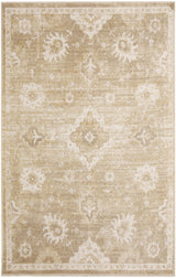 Nourison Astra Machine Washable ASW19 Machine Made Ivory, Gold Rug