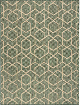 Nourison Horizon Indoor/Outdoor HOZ01 Green Contemporary Area Rugs