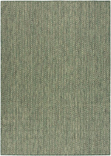 Nourison Horizon Indoor/Outdoor HOZ02 Green Contemporary Area Rugs