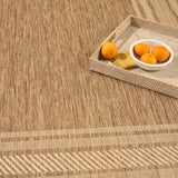 Nourison Horizon Indoor/Outdoor HOZ03 Natural Contemporary Area Rugs - 841491128718