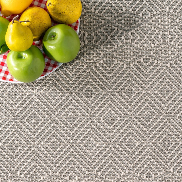 Nuloom Paloma Npa1785B Gray Rug.