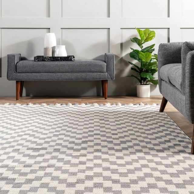 Nuloom Priya Chevron Npr2787A Gray Rug.