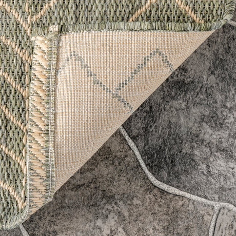 Nuloom Serna Nse2860E Sage Rug.