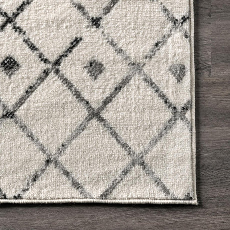 Nuloom Zola Moroccan Nzo1718A Gray Rug.