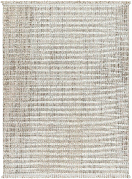 Surya New Delhi Nwh-2303 Ash, Light Grey, Sterling Grey, Metallic - Silver Rug.