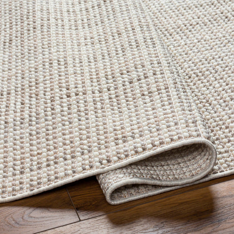 Surya New Delhi Nwh-2303 Ash, Light Grey, Sterling Grey, Metallic - Silver Rug.