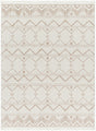 Surya New Delhi Nwh-2305 Light Silver, Light Grey, Off-White, Pale Slate Rug.