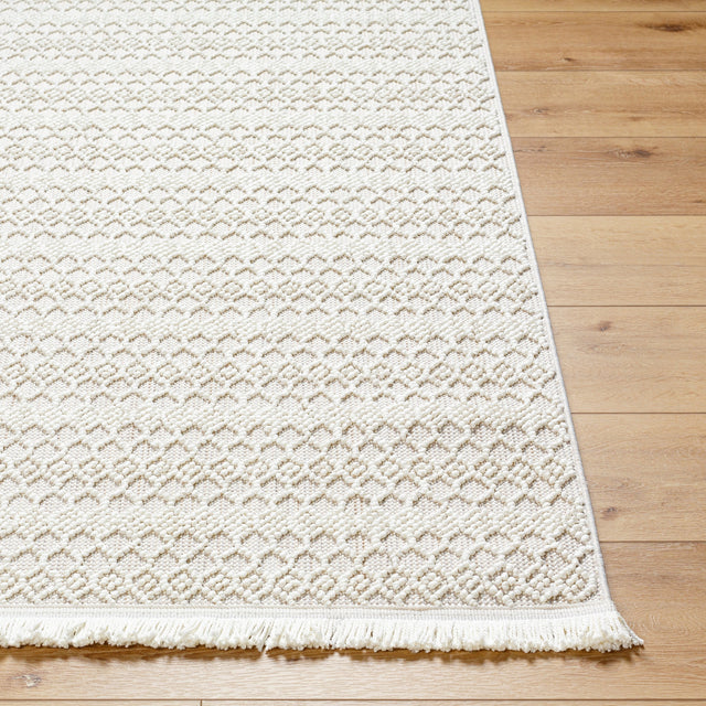 Surya New Delhi Nwh-2308 Light Silver, Light Grey, Off-White Rug.