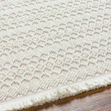 Surya New Delhi Nwh-2308 Light Silver, Light Grey, Off-White Rug.