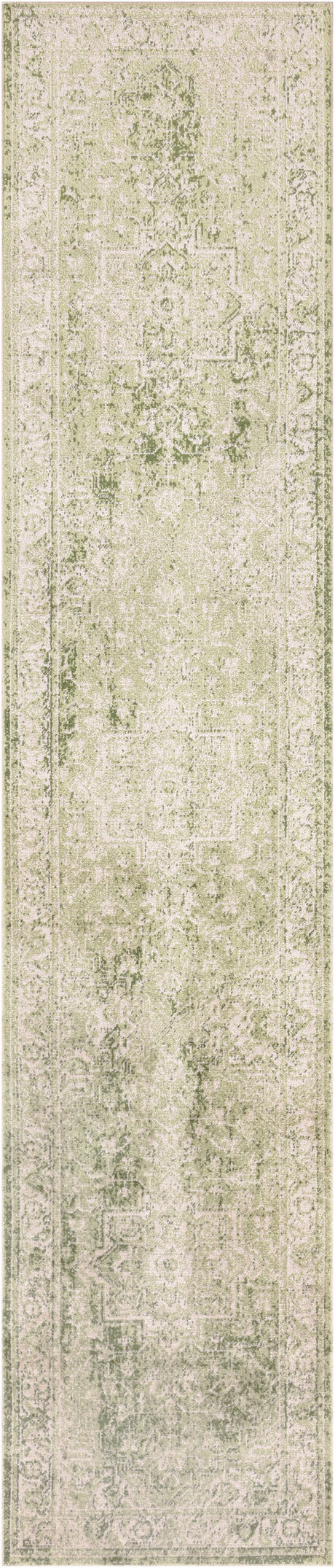 Nourison Astra Machine Washable Asw12 Ivory Green Area Rug