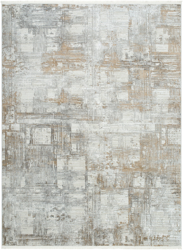 Surya Obsession Obn-2305 Cream, Gray, Light Gray, Light Brown, Charcoal Rug.