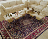 Oriental Weavers Sphinx Ariana 095b3 Blue / Red Rugs.