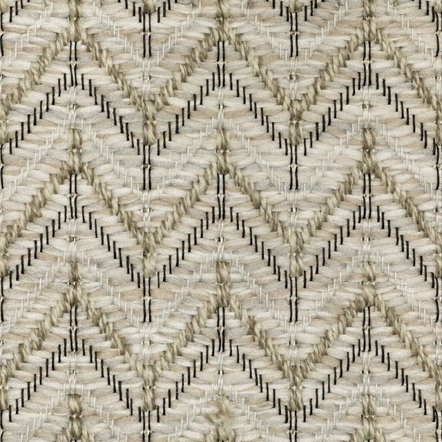 Oriental Weavers Sphinx Tortuga Tr09A Beige/ Black Rug.