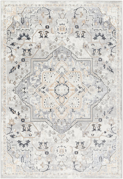 Surya Perception Pcp-2317 Ivory, Light Gray, Beige, Cream, Gray, Charcoal Area Rug