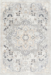 Surya Perception Pcp-2317 Ivory, Light Gray, Beige, Cream, Gray, Charcoal Area Rug