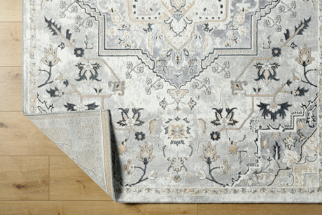 Surya Perception Pcp-2317 Ivory, Light Gray, Beige, Cream, Gray, Charcoal Rug.