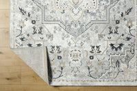 Surya Perception Pcp-2317 Ivory, Light Gray, Beige, Cream, Gray, Charcoal Area Rug