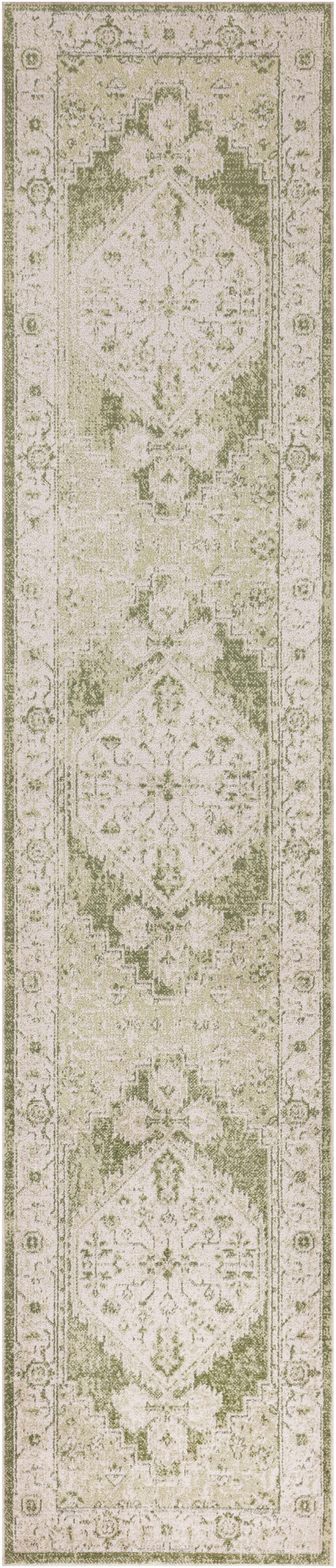 Nourison Astra Machine Washable Asw11 Ivory Green Area Rug