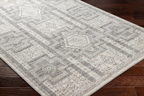 Surya Positano Psn-2316 Light Grey, Ash, Sterling Grey, Metallic - Silver, Pewter Rug.