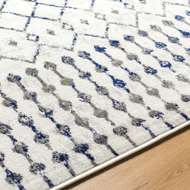 Surya Pisa Pss-2367 Light Gray, Charcoal, Dark Blue, Medium Gray Rug.