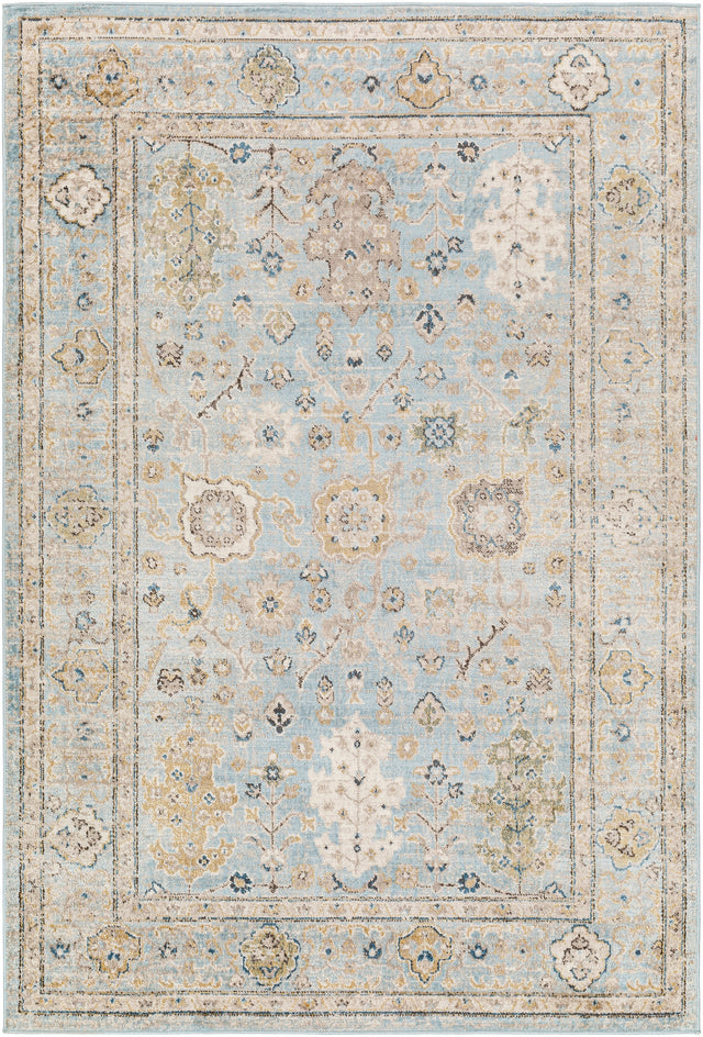 Surya Pertek Ptk-2307 Deep Teal, Gray, Taupe, Dark Brown, Dark Blue Rug.