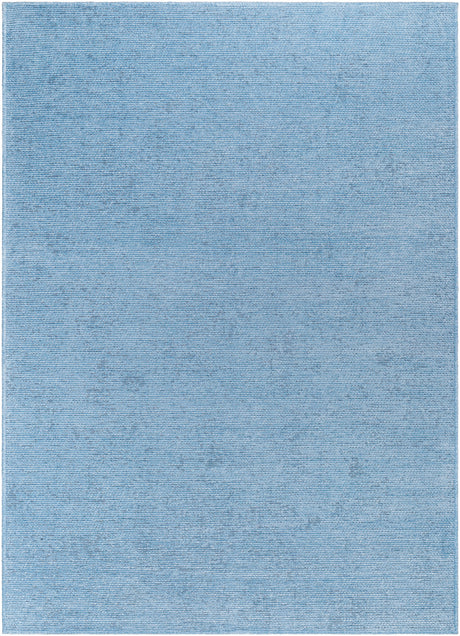 Surya Quebec Qbc-2304 Pale Blue, Light Blue Rug.