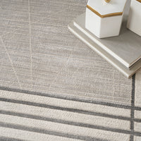 Nourison Desire Dsr01 Grey Silver Area Rug