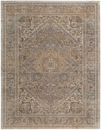 Feizy Celene Cel39Kxf Tan/Brown/Ivory Area Rug