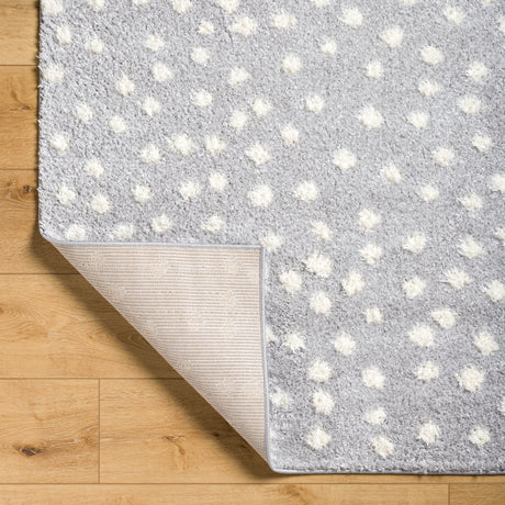 Surya Rodos Rdo-2350 Slate, Light Grey, Light Silver Rug.