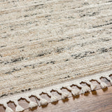 Surya Rudy Rdy-2300 Gray, Ivory, Light Beige, Cream, Medium Gray, Charcoal Rug.