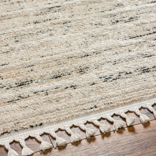 Surya Rudy Rdy-2300 Gray, Ivory, Light Beige, Cream, Medium Gray, Charcoal Rug.