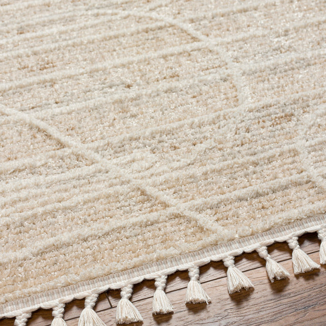 Surya Rudy Rdy-2304 Gray, Light Beige, Cream, Medium Gray, Medium Brown Rug.