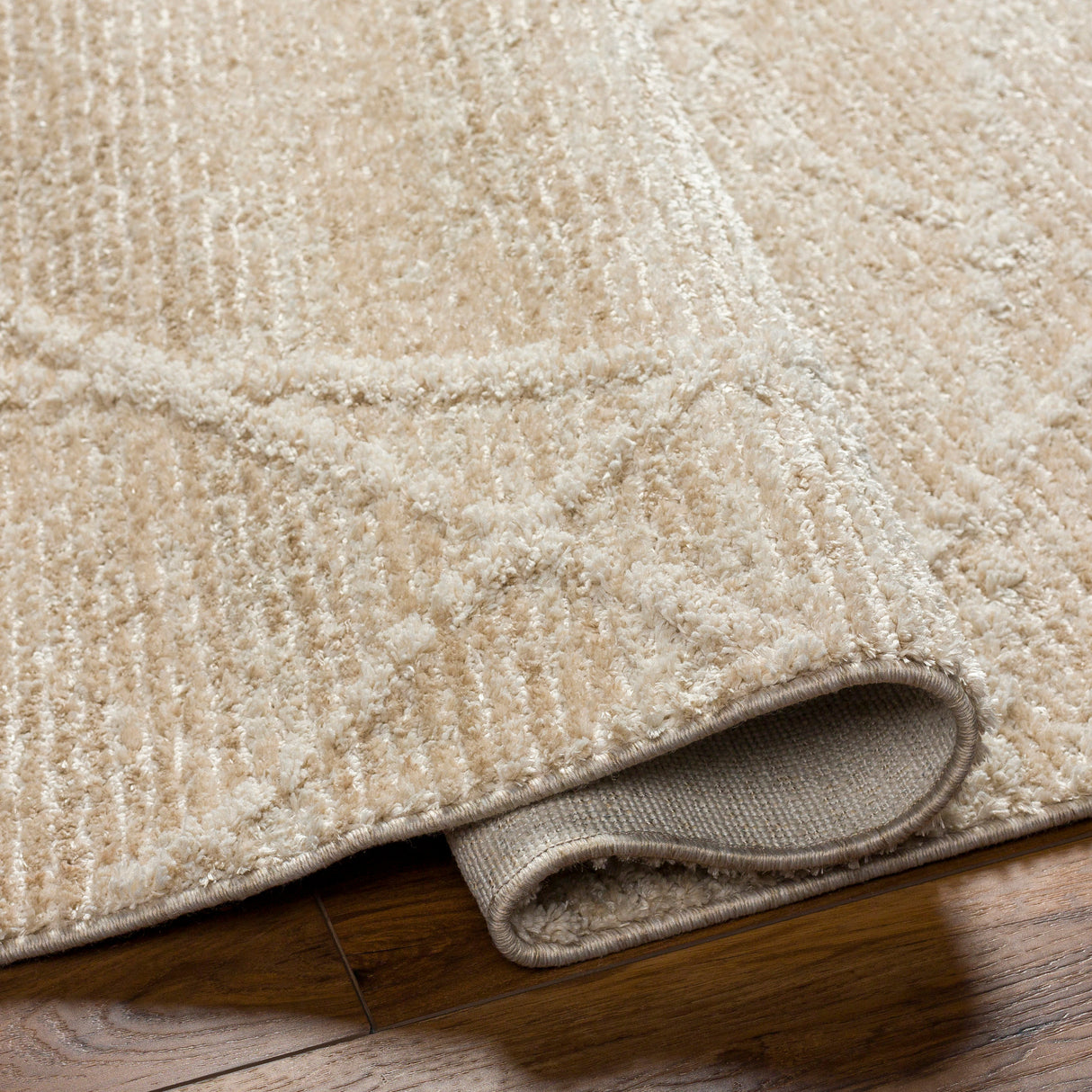 Surya Rudy Rdy-2307 Gray, Light Beige, Ivory, Cream Rug.